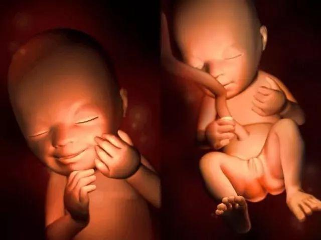 怀孕17周肚子有多大 17周胎儿在肚子的位置图片
